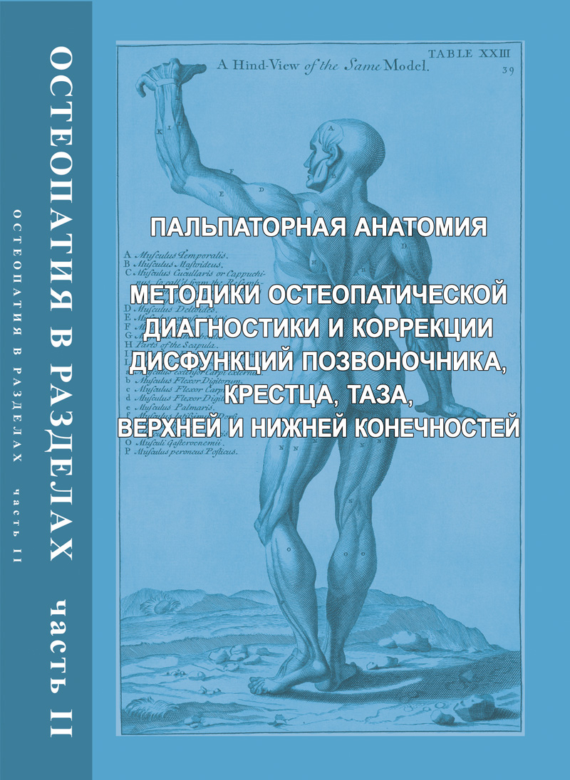 Техники остеопатии воздействия на вегетативную нервную систему Техники остеопатии воздействия на вегетативную нервную систему